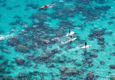 Snorkeling at Isola Bella & Spotting Dolphins: A Perfect Day on the Ionian Sea